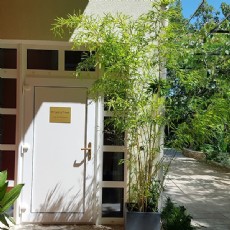Psychotherapie in Oberpullendorf, Burgenland
